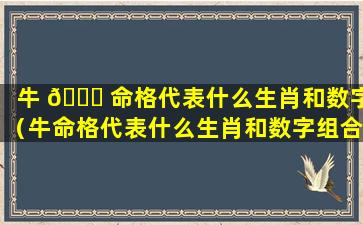 牛 🐈 命格代表什么生肖和数字（牛命格代表什么生肖和数字组合）